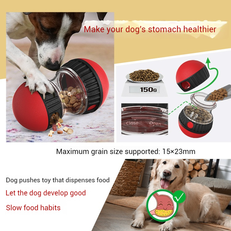 Enrichment Toys-Pet Products