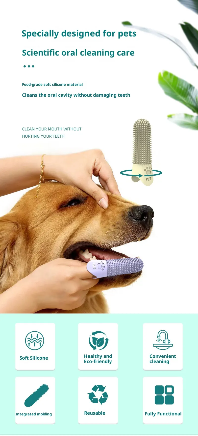 Dental Care-Pet Products