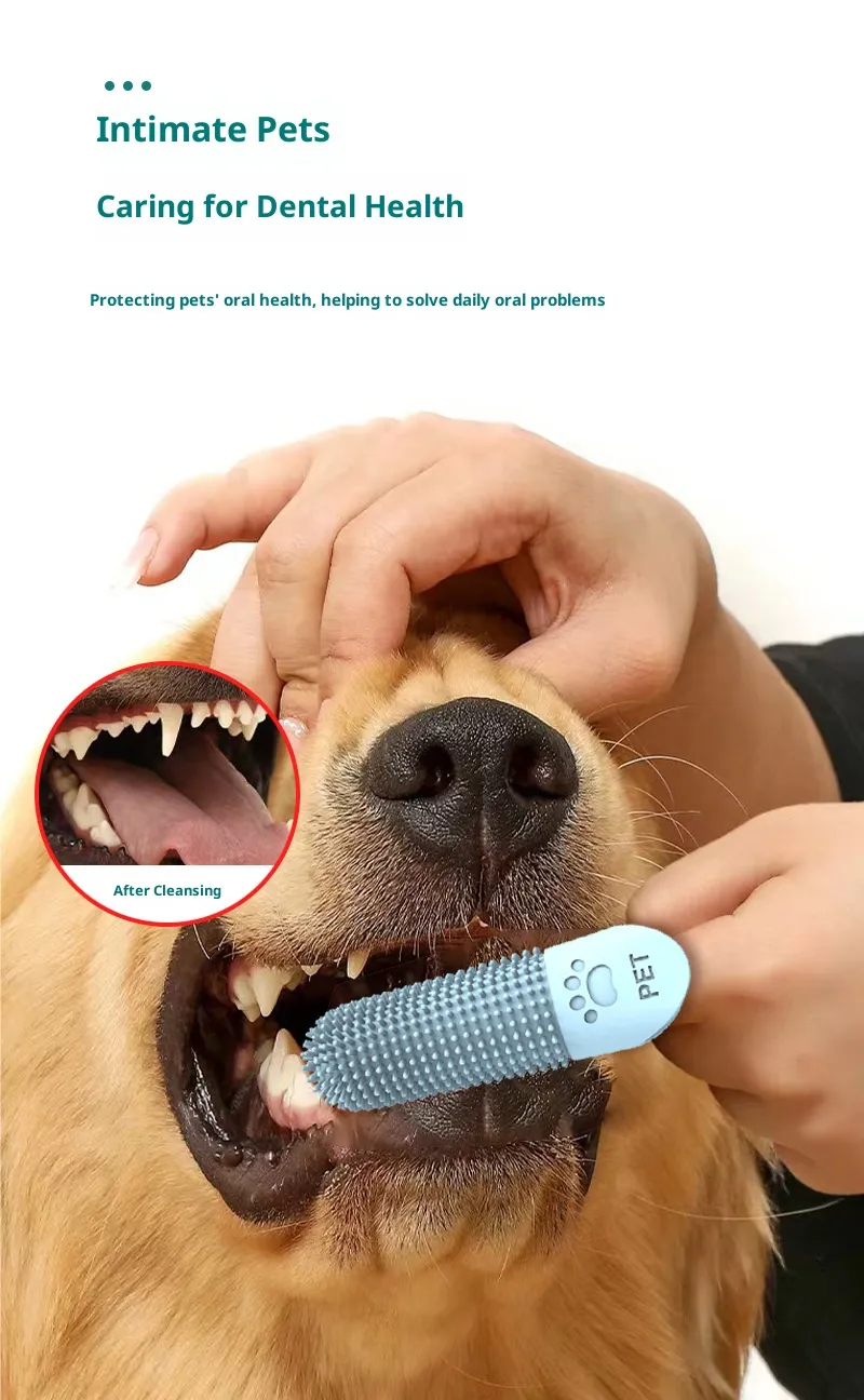 Dental Care-Pet Products