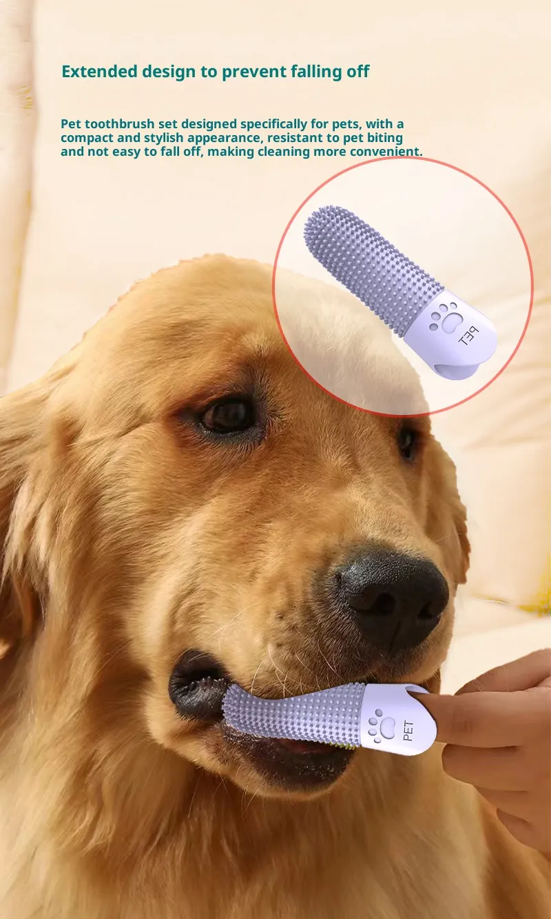 Dental Care-Pet Products