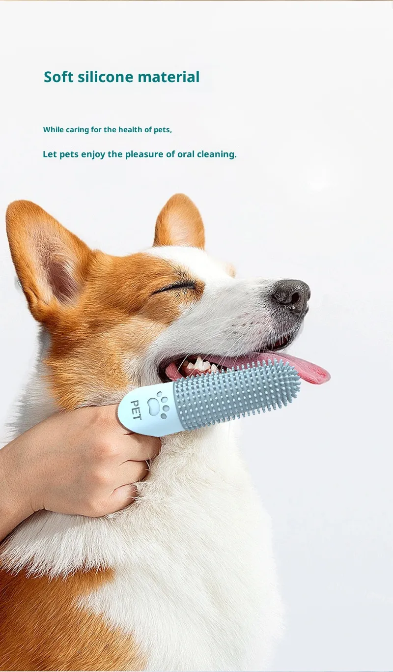 Dental Care-Pet Products