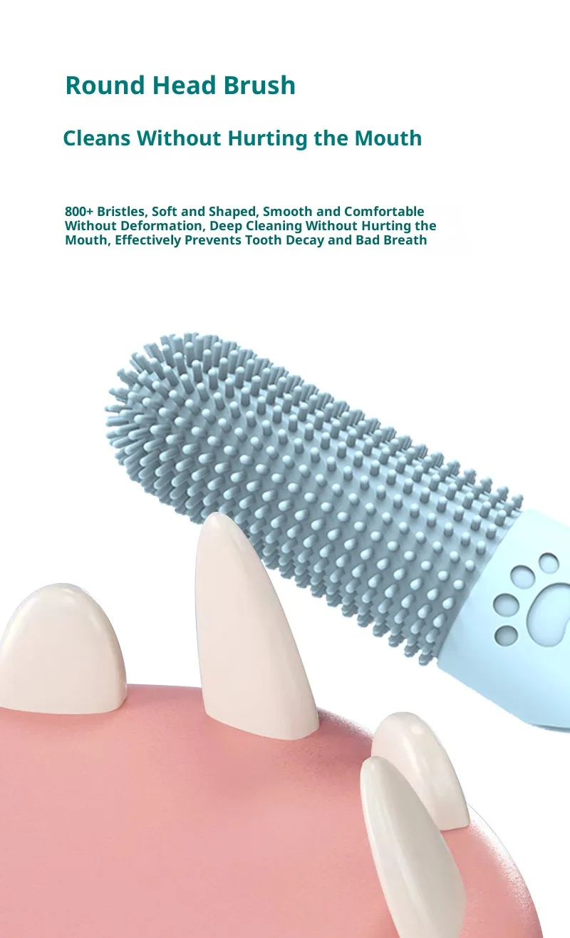 Dental Care-Pet Products