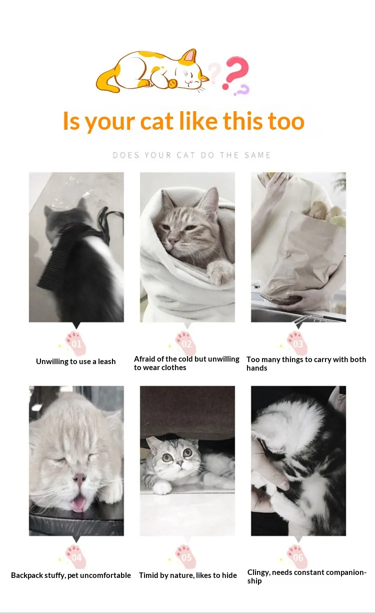 Tote Bag-Pet Products