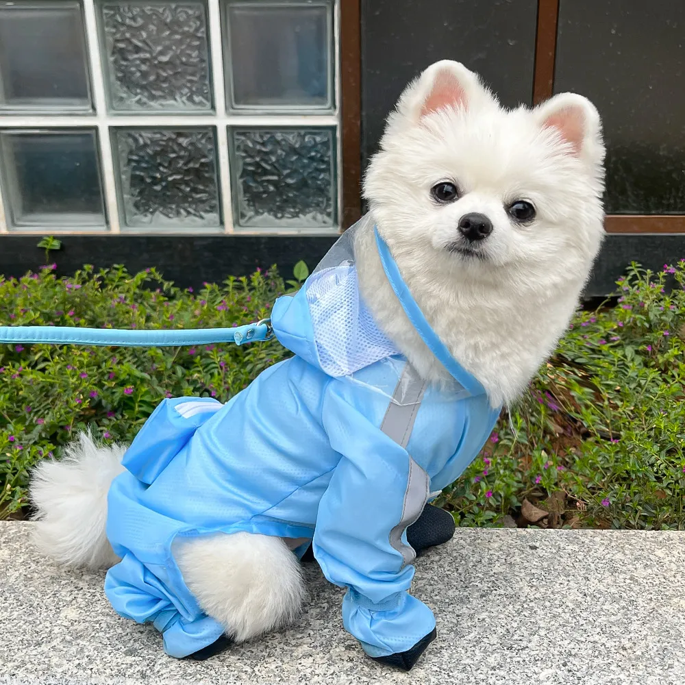 Raincoat-Pet Products