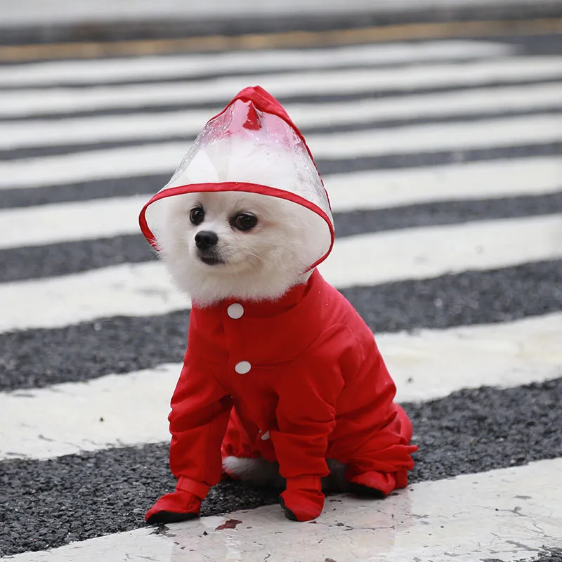 Raincoat-Pet Products