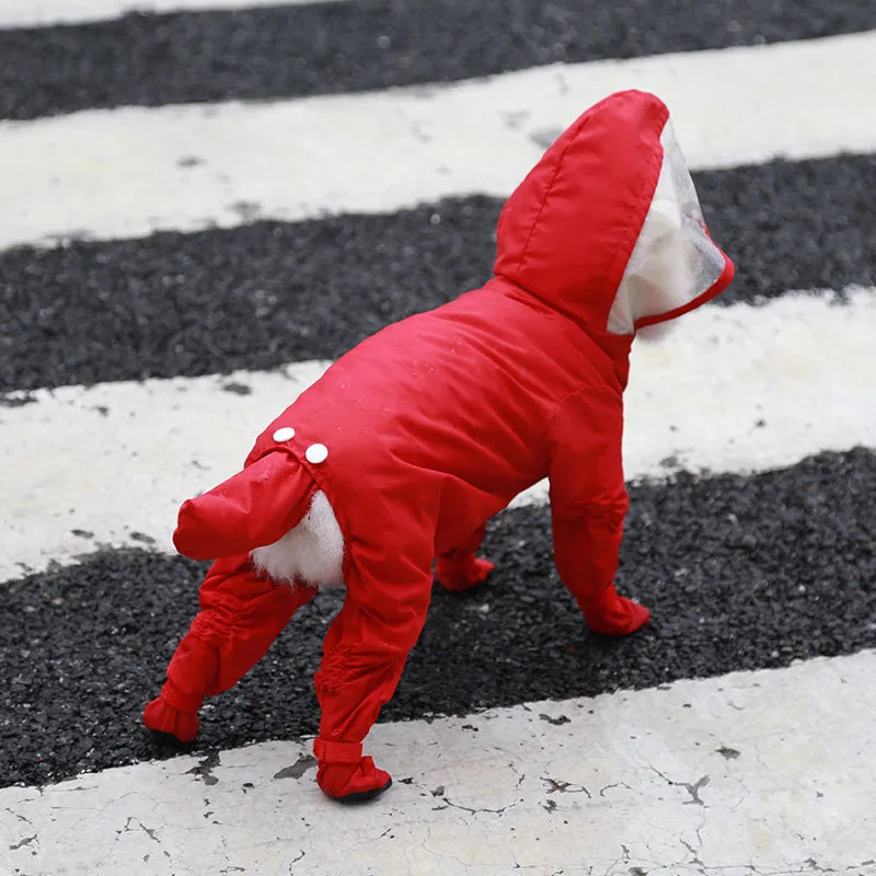 Raincoat-Pet Products