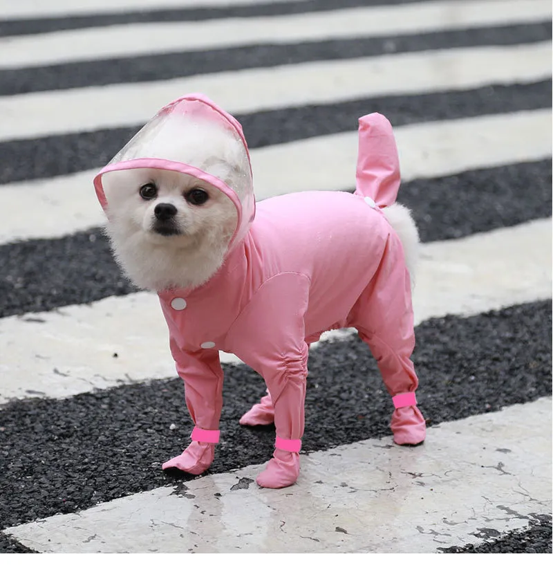Raincoat-Pet Products