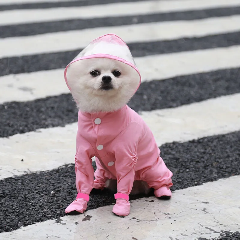 Raincoat-Pet Products