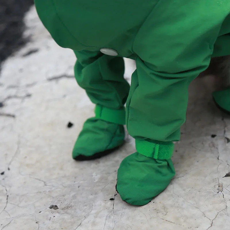 Raincoat-Pet Products