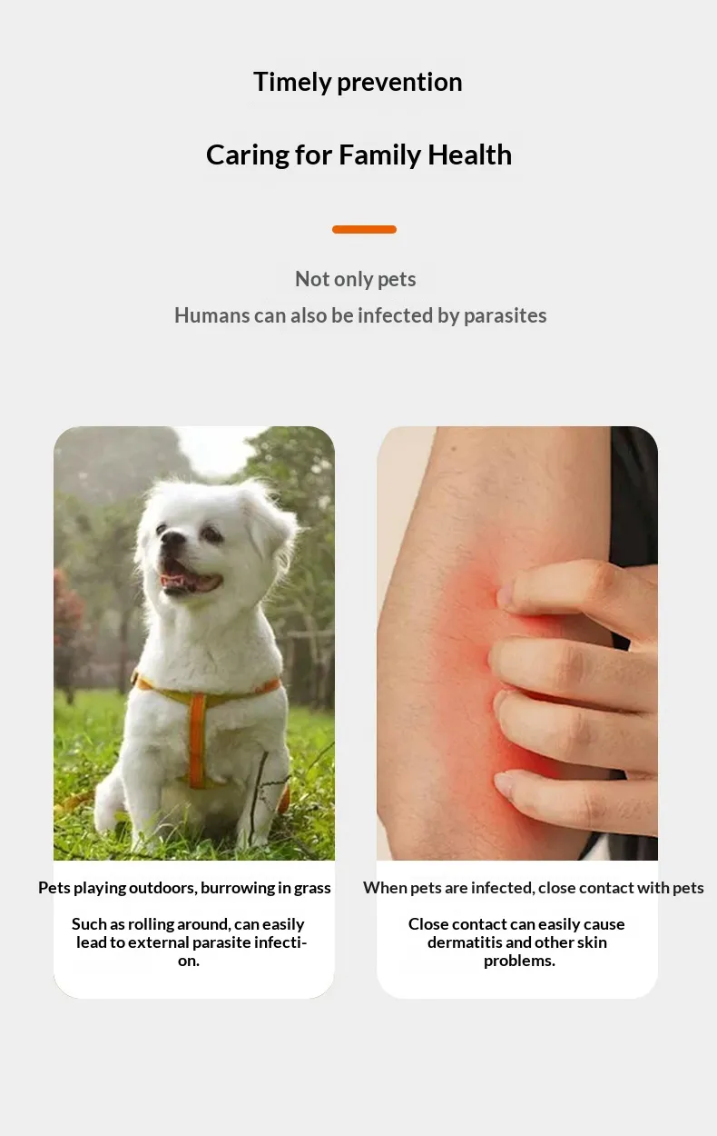 Flea and Tick Collars-Pet Products