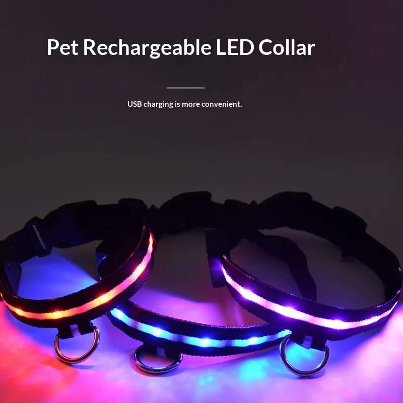 LED Collars-Pet Products