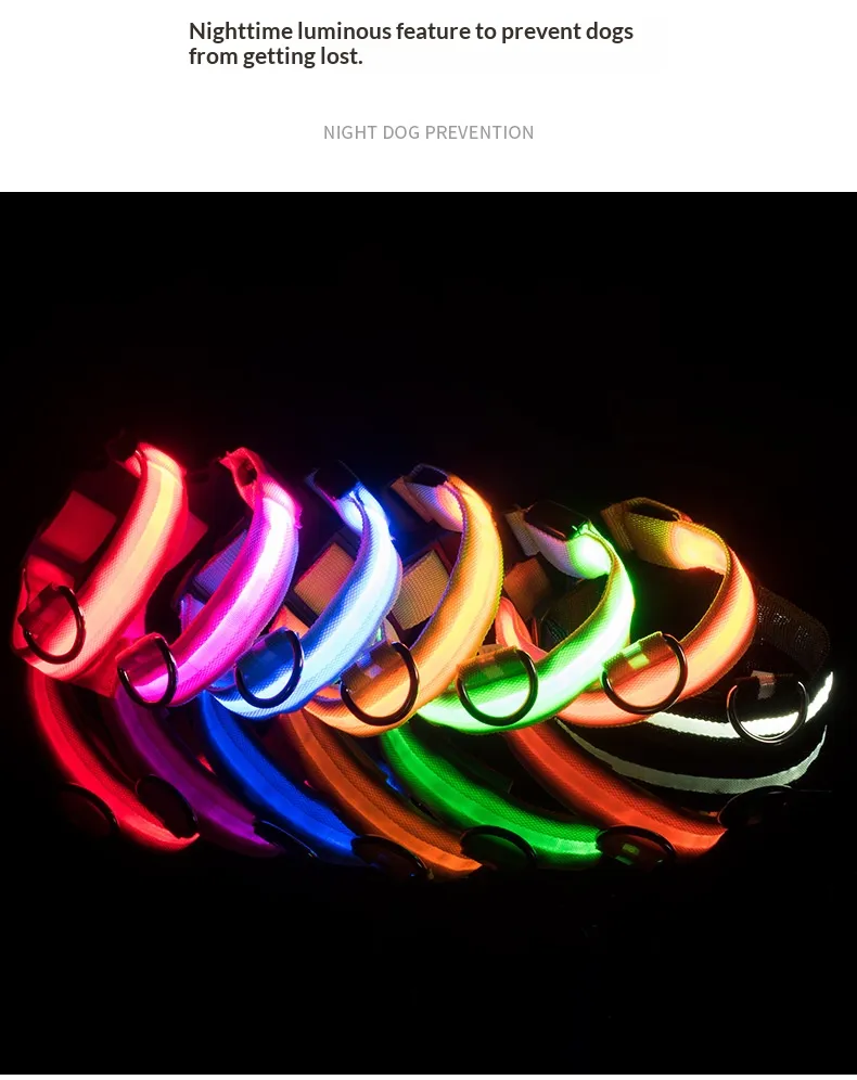 LED Collars-Pet Products