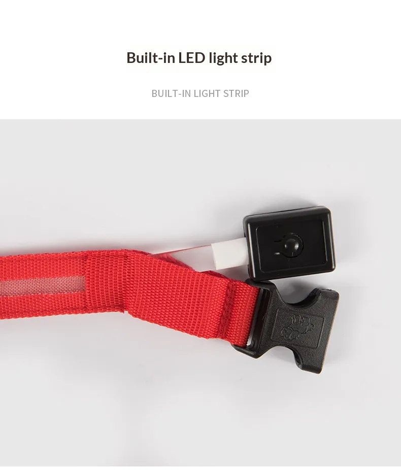 LED Collars-Pet Products