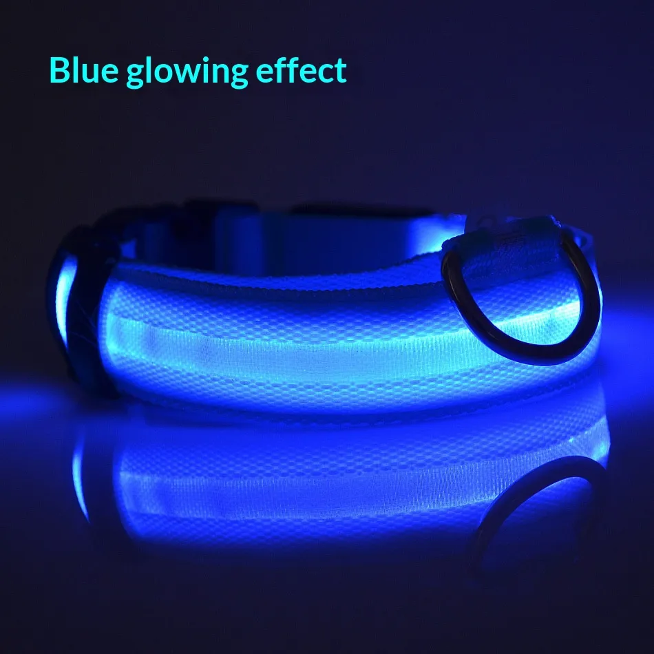 LED Collars-Pet Products