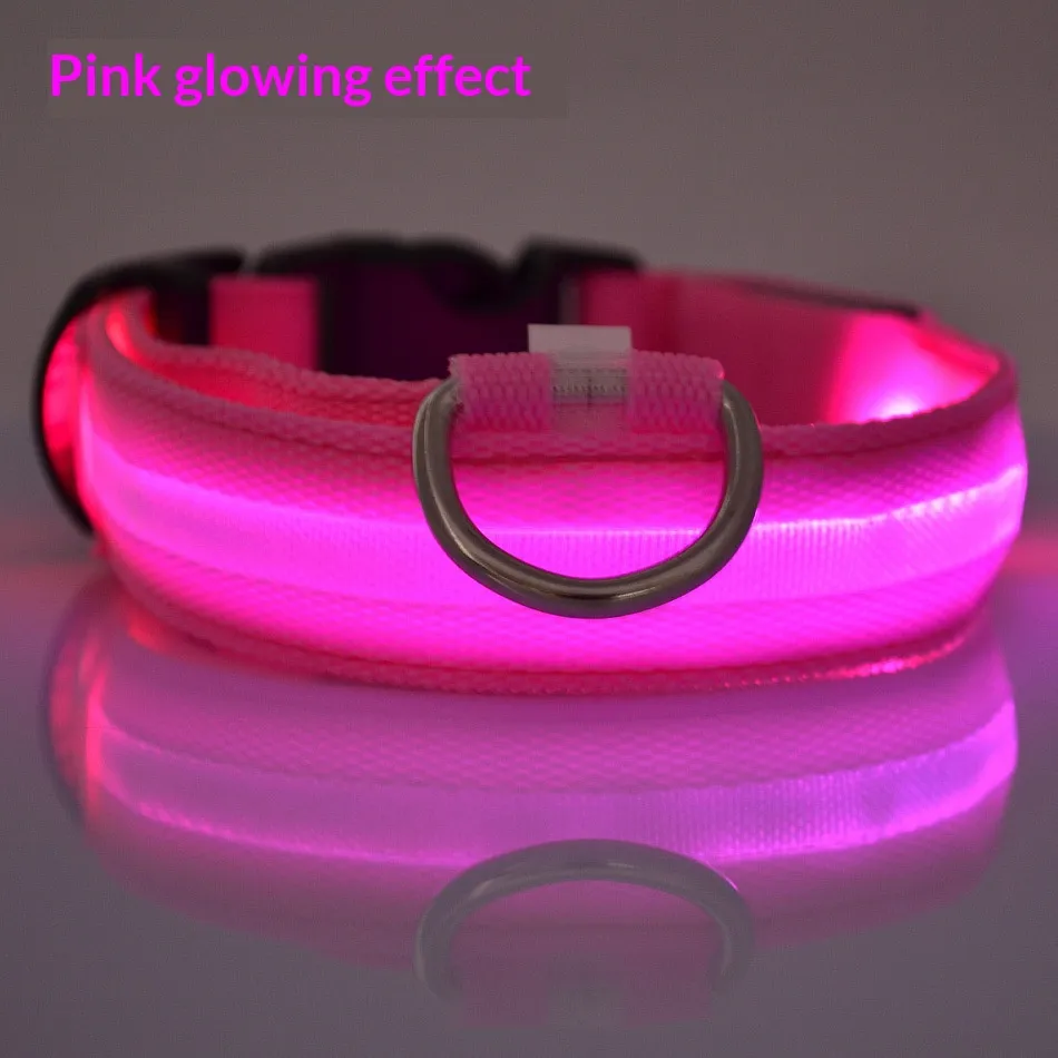 LED Collars-Pet Products
