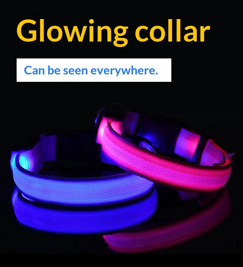 LED Collars-Pet Products
