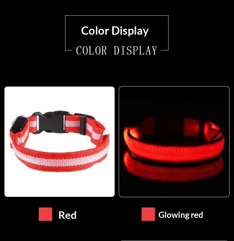 LED Collars-Pet Products