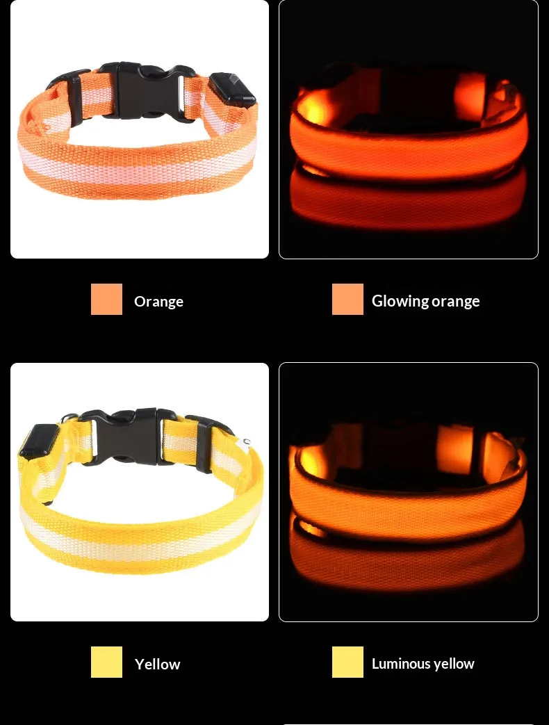 LED Collars-Pet Products