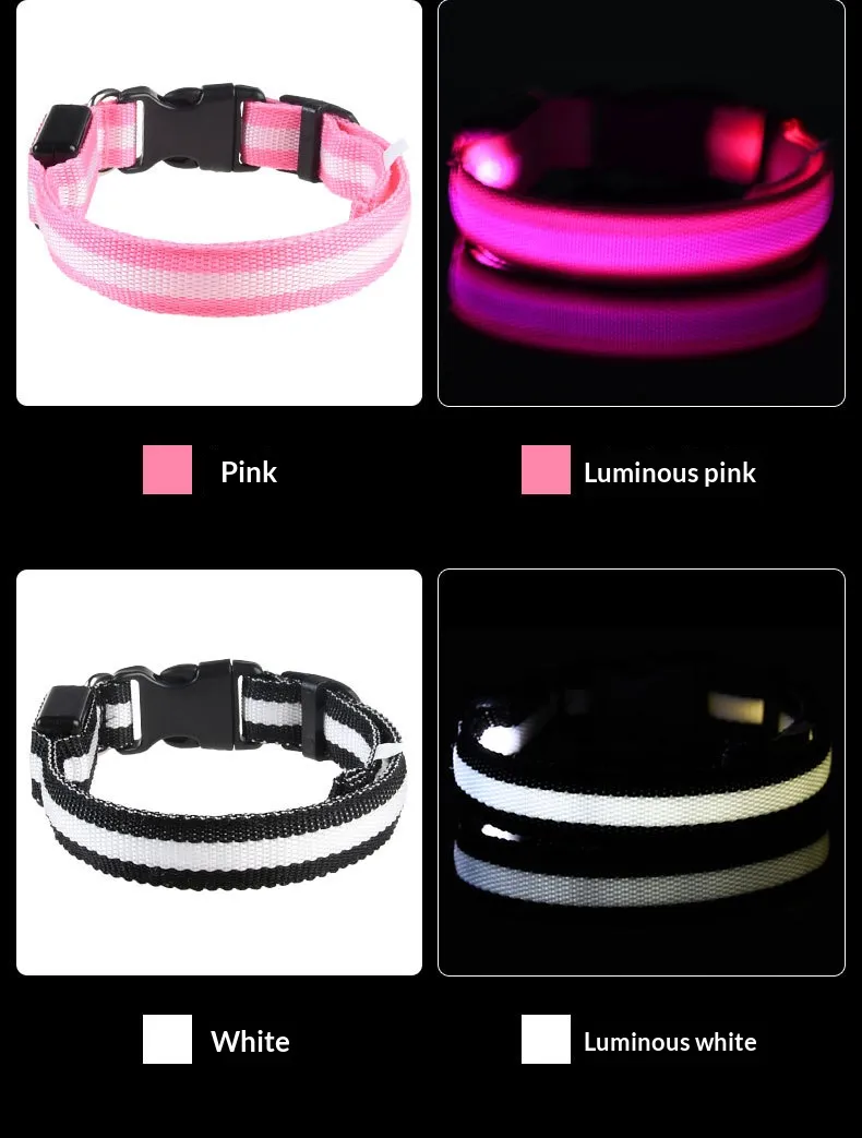 LED Collars-Pet Products