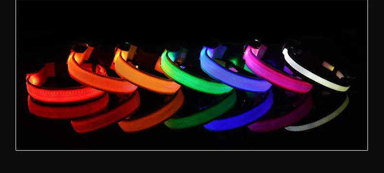 LED Collars-Pet Products