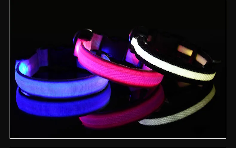 LED Collars-Pet Products