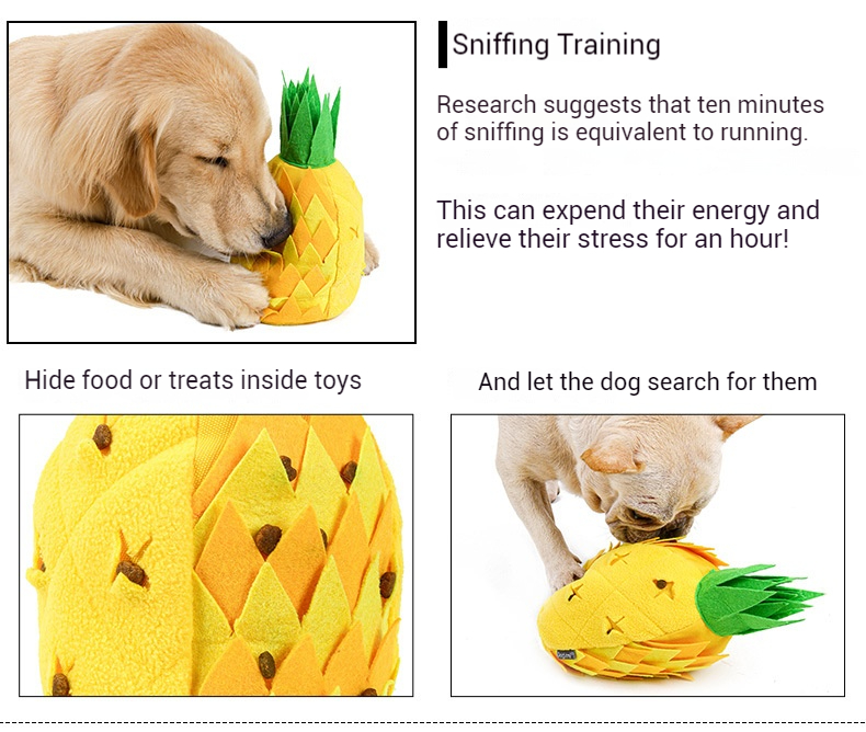 Pineapple Sniffer-Pet Products