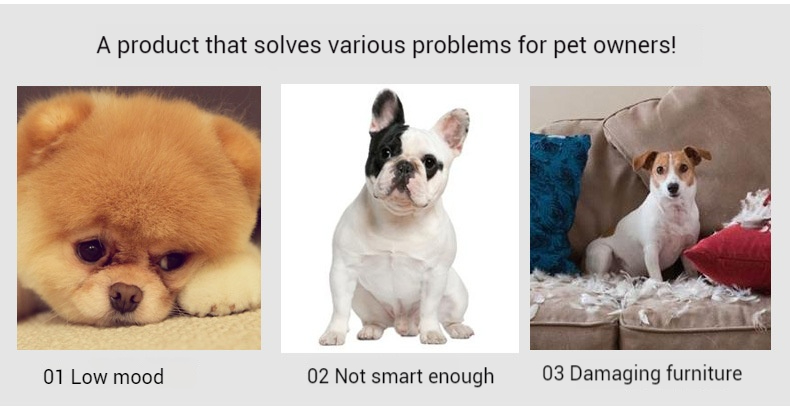 Pineapple Sniffer-Pet Products