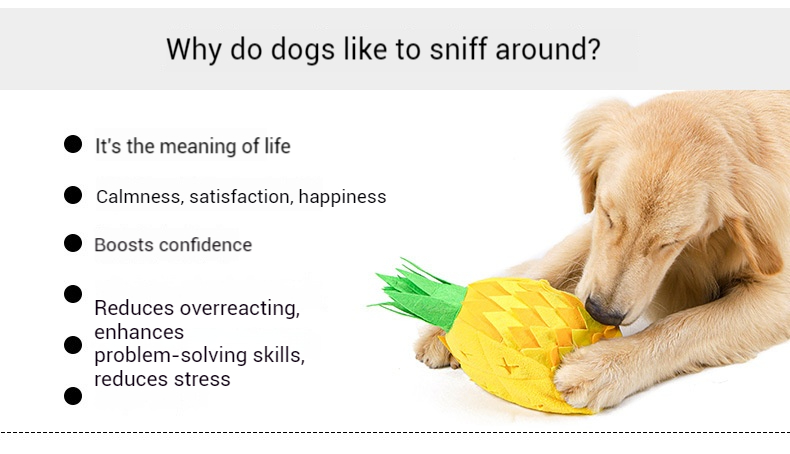 Pineapple Sniffer-Pet Products