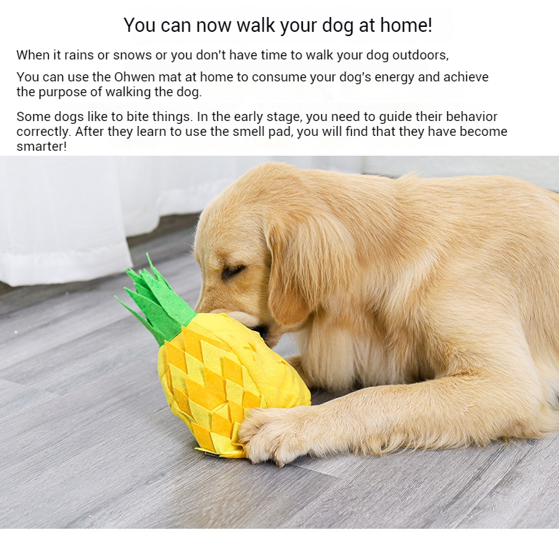 Pineapple Sniffer-Pet Products