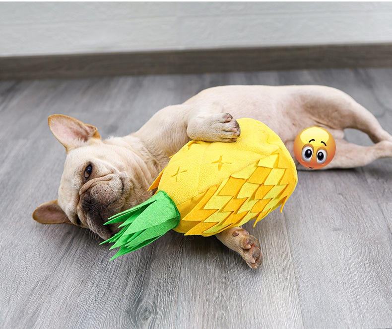 Pineapple Sniffer-Pet Products
