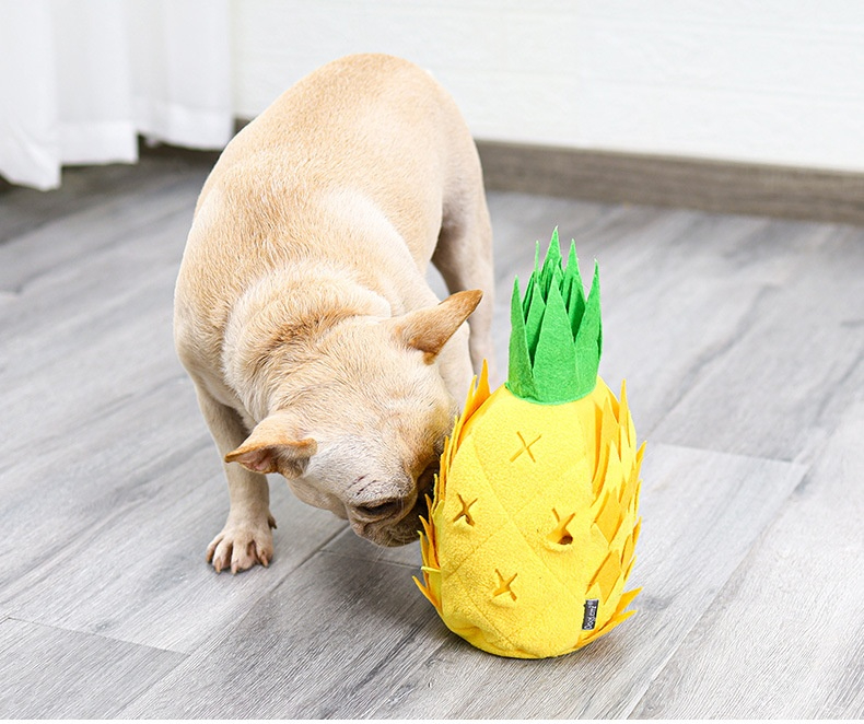 Pineapple Sniffer-Pet Products