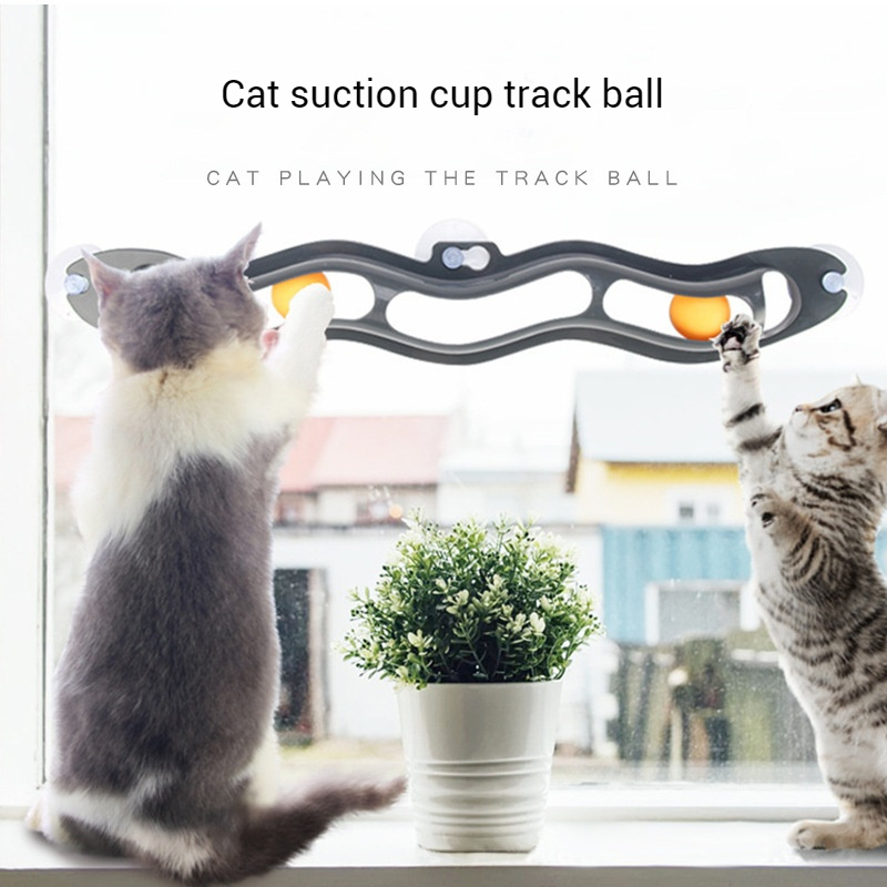 Track Ball-Pet Products