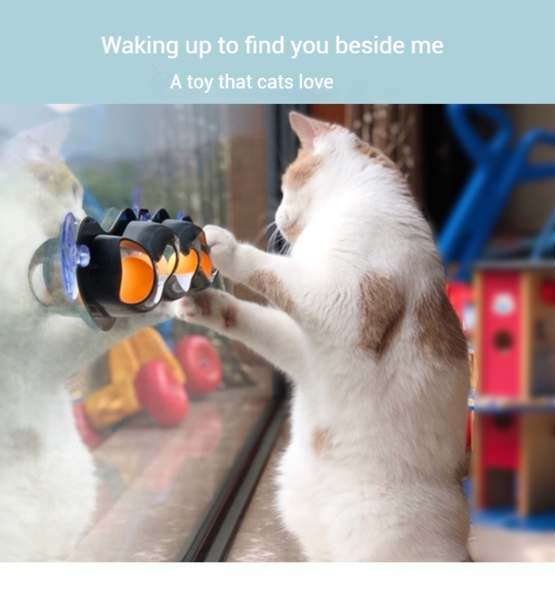 Track Ball-Pet Products