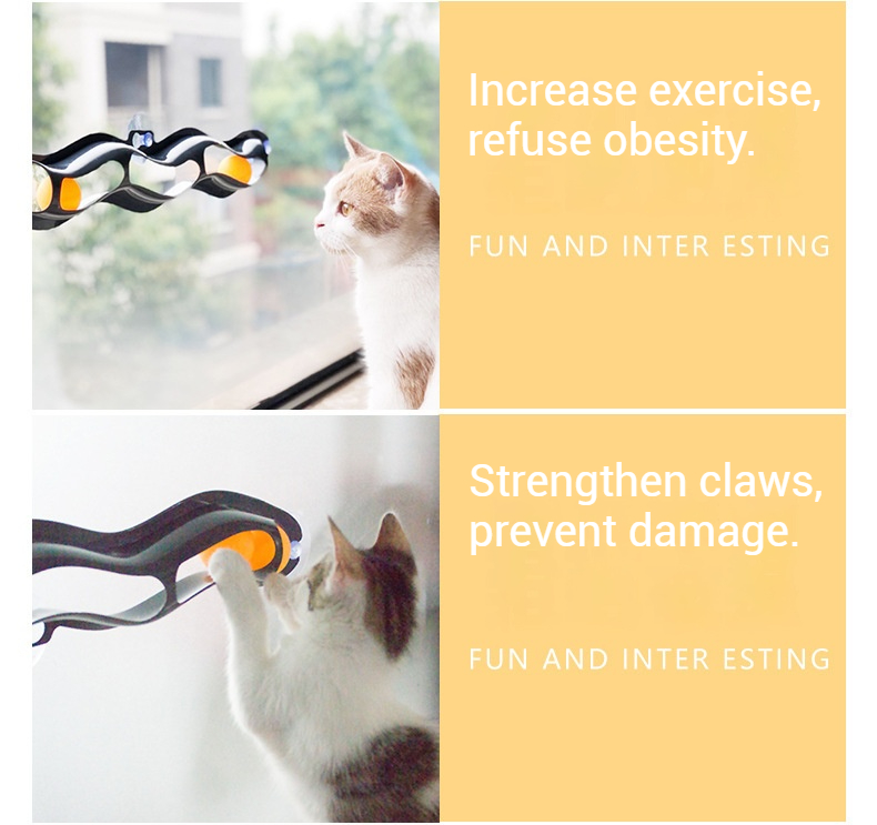 Track Ball-Pet Products