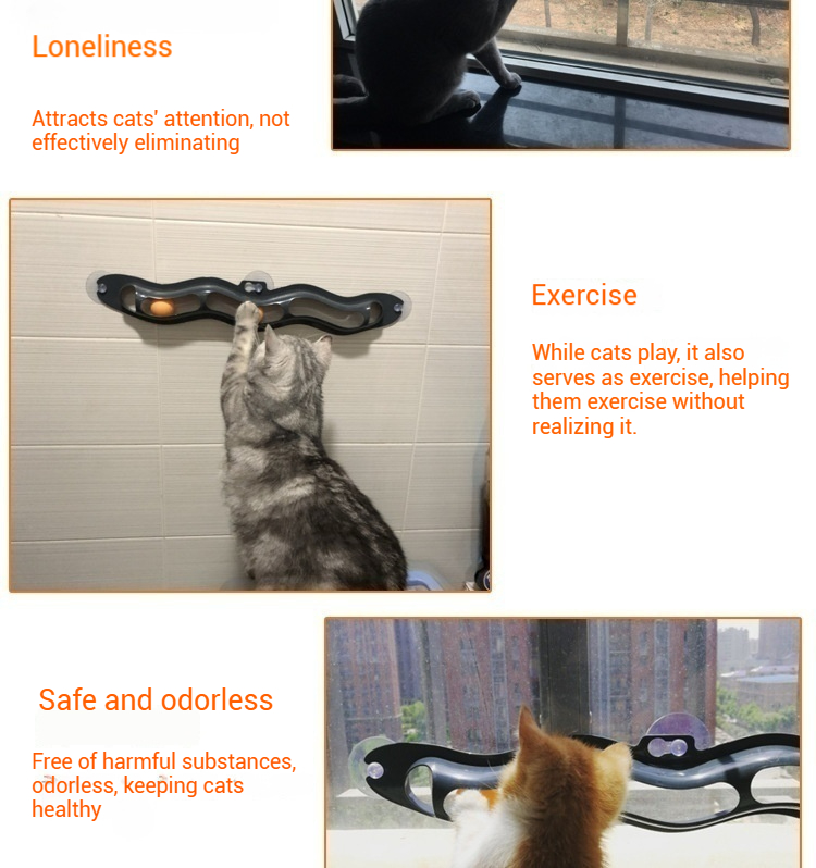 Track Ball-Pet Products