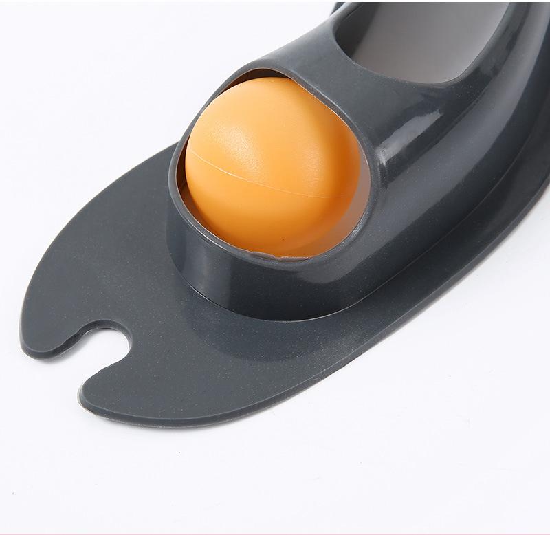 Track Ball-Pet Products