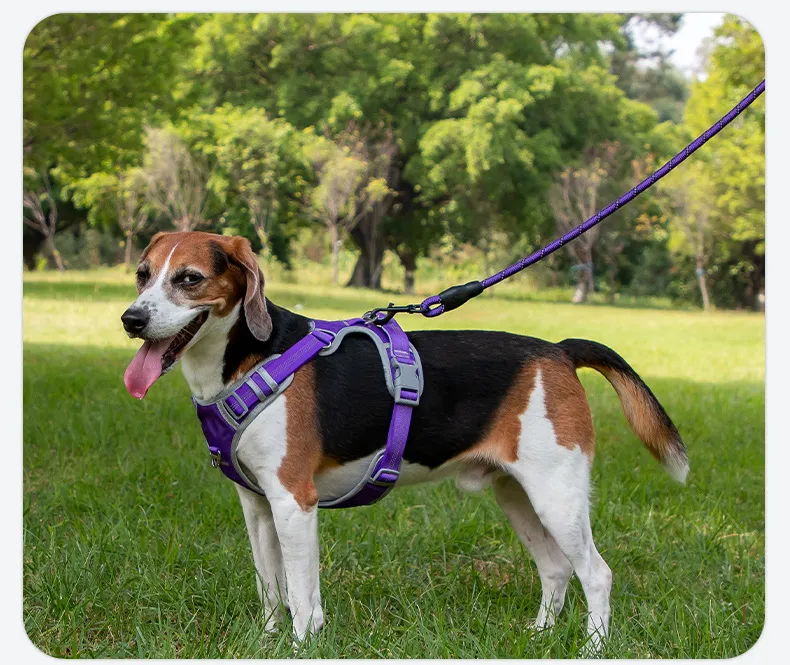 Nylon Leashes-Pet Products
