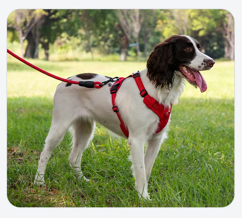 Nylon Leashes-Pet Products