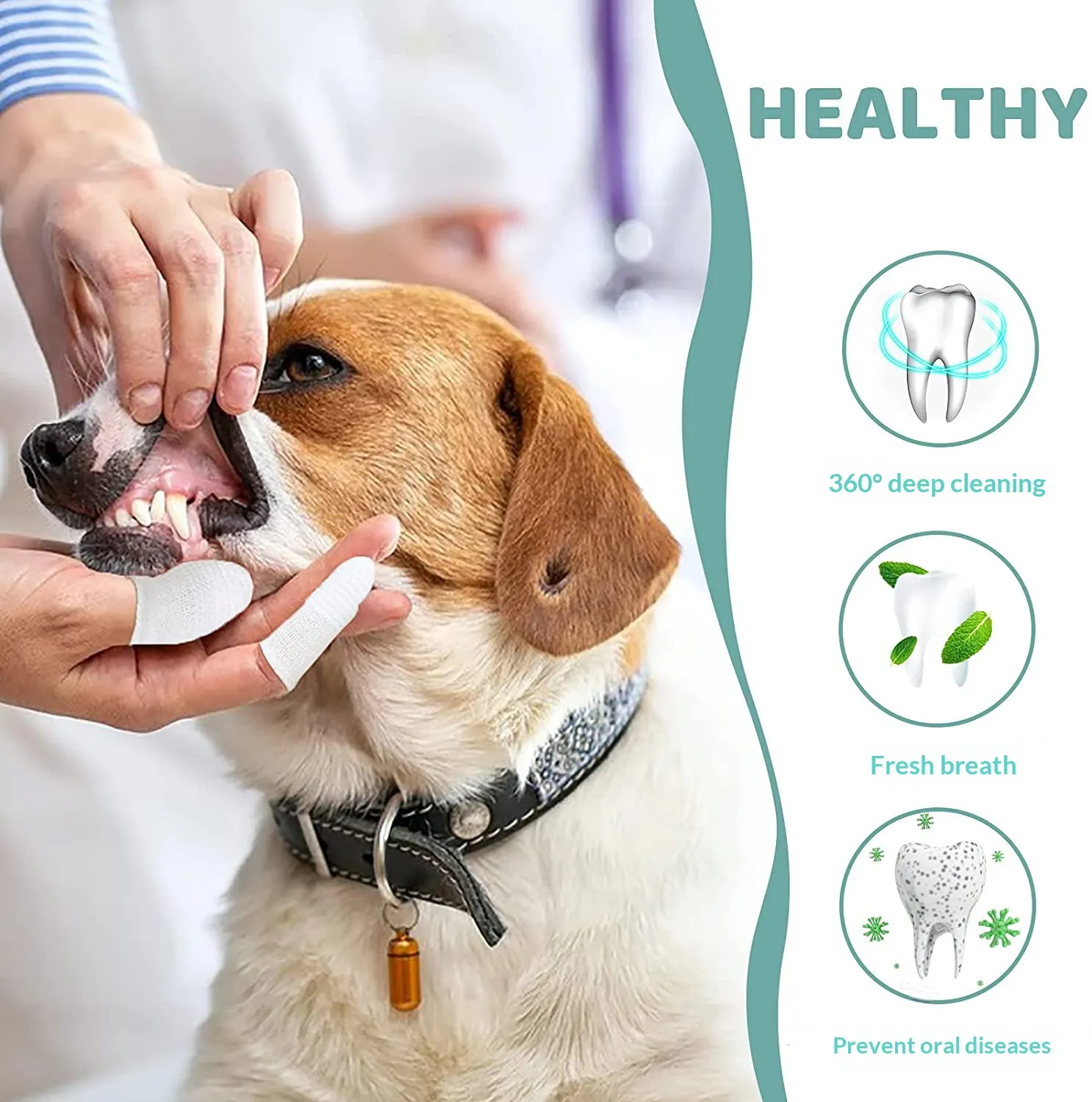 Finger Brush-Pet Products