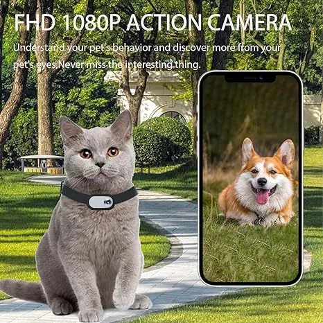 Pet Collar Camera-Pet Products