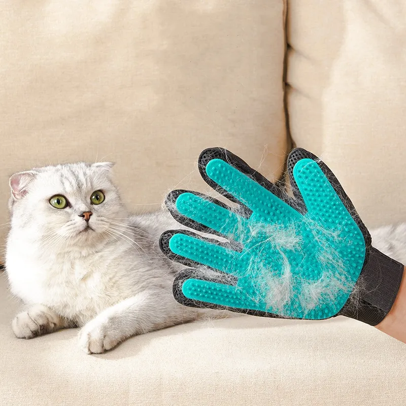A Guide to At-Home Care and Outdoor Safety for Pets-Pet Products
