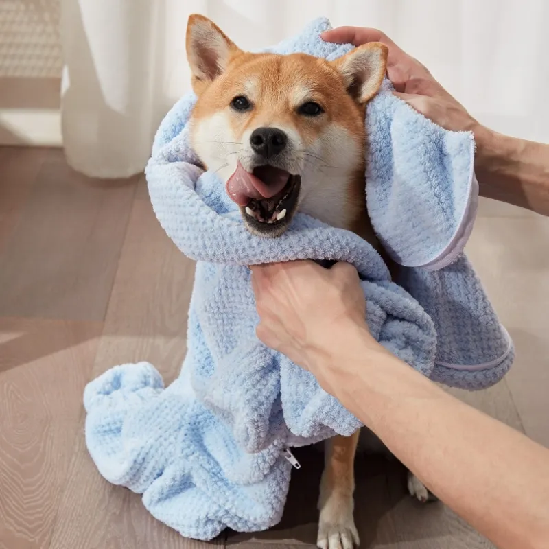 A Guide to At-Home Care and Outdoor Safety for Pets-Pet Products