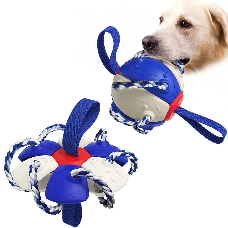 A Double Guarantee for Summer Water Fun and Safety-Pet Products