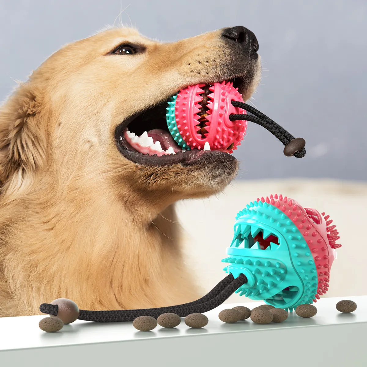 A Double Guarantee for Summer Water Fun and Safety-Pet Products